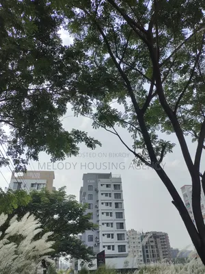 3 Bedroom Apartment in Bashundhara for sale