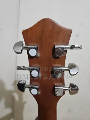 Acoustic Guitar
