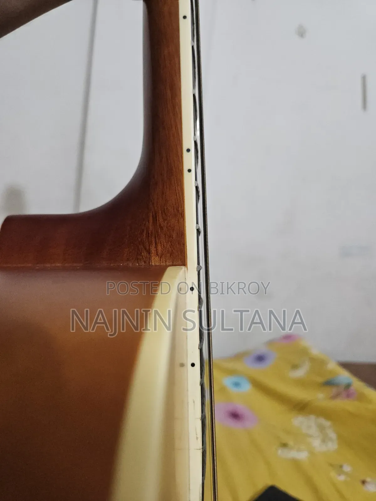 Acoustic Guitar