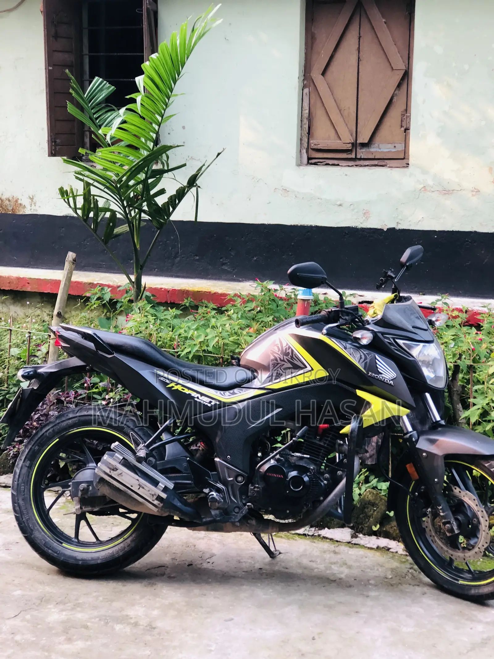 Honda Hornet 2019 Gray