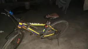 সাইকেল