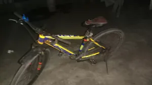 সাইকেল