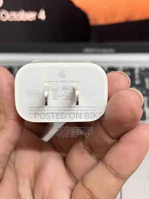 Original Apple Charger