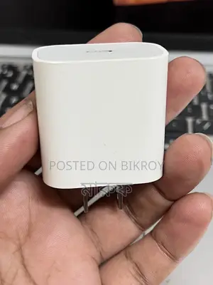 Original Apple Charger