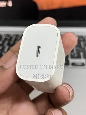 Original Apple Charger