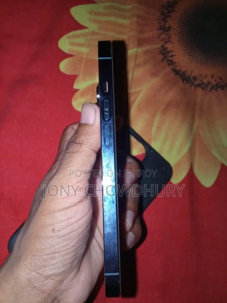 অ্যাপল আইফোন ১৩ প্রো ২৫৬ জিবি