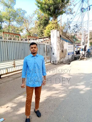 বিকাশ দে