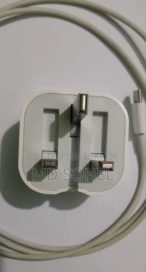 Apple iPhone Charger