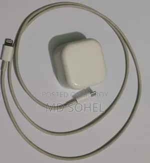 Apple iPhone Charger