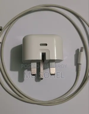 Apple iPhone Charger