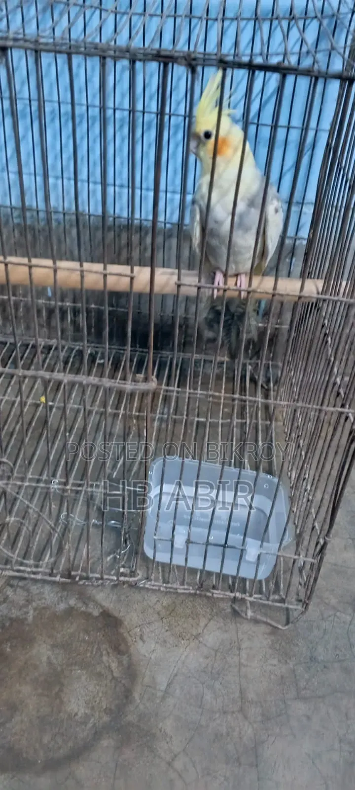 যারা নিবেন তারাই কল করুন