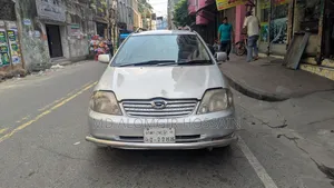 Toyota Corolla Fielder 2004 Silver