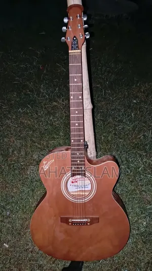 Guitar Musical Instrument