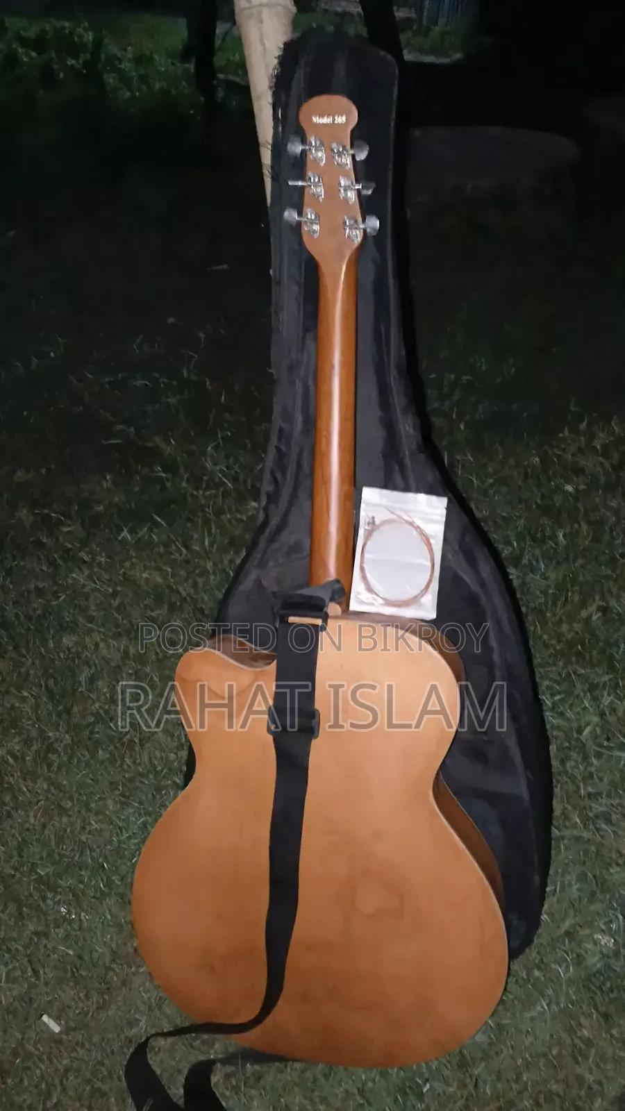 Guitar Musical Instrument