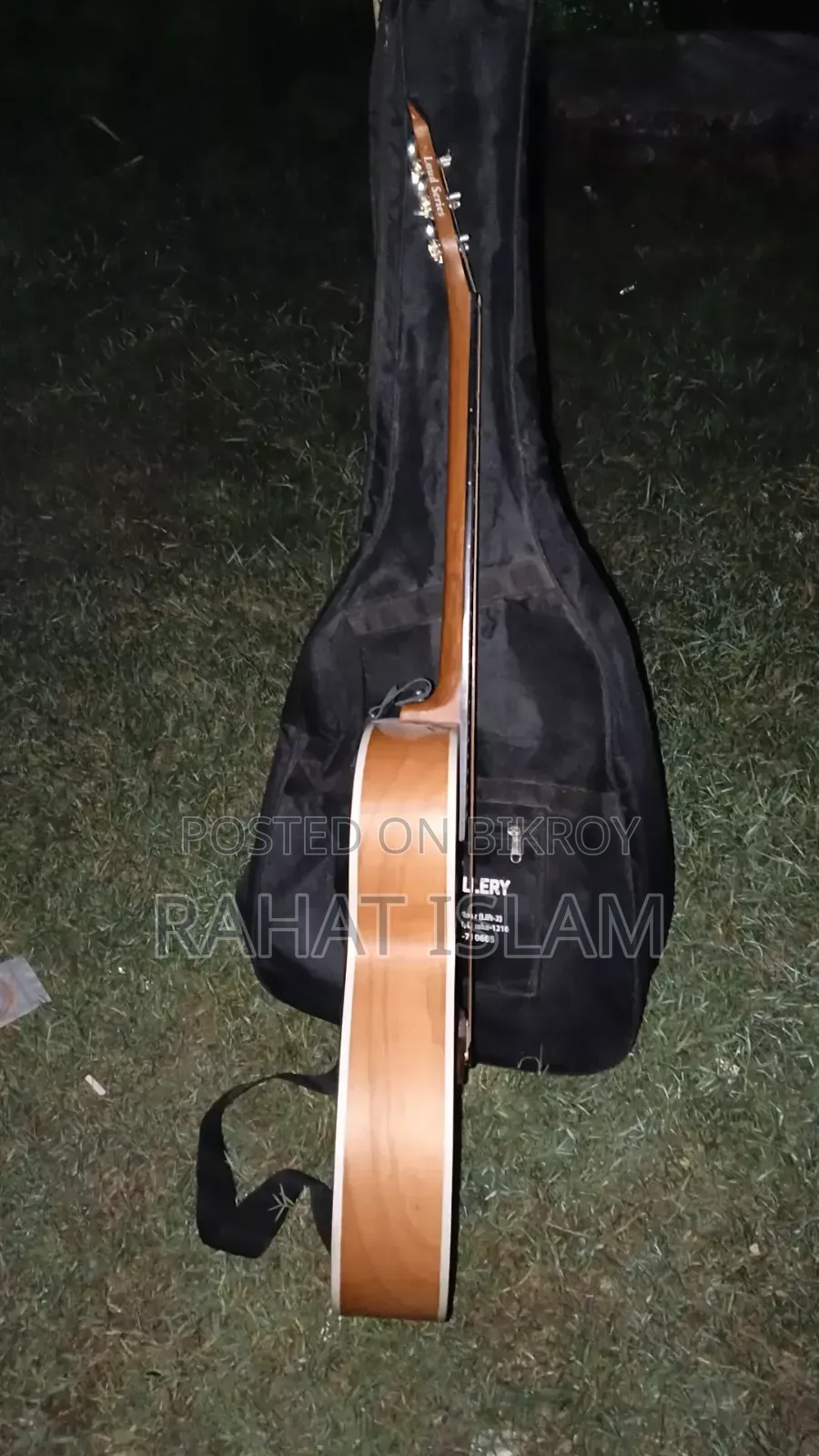 Guitar Musical Instrument
