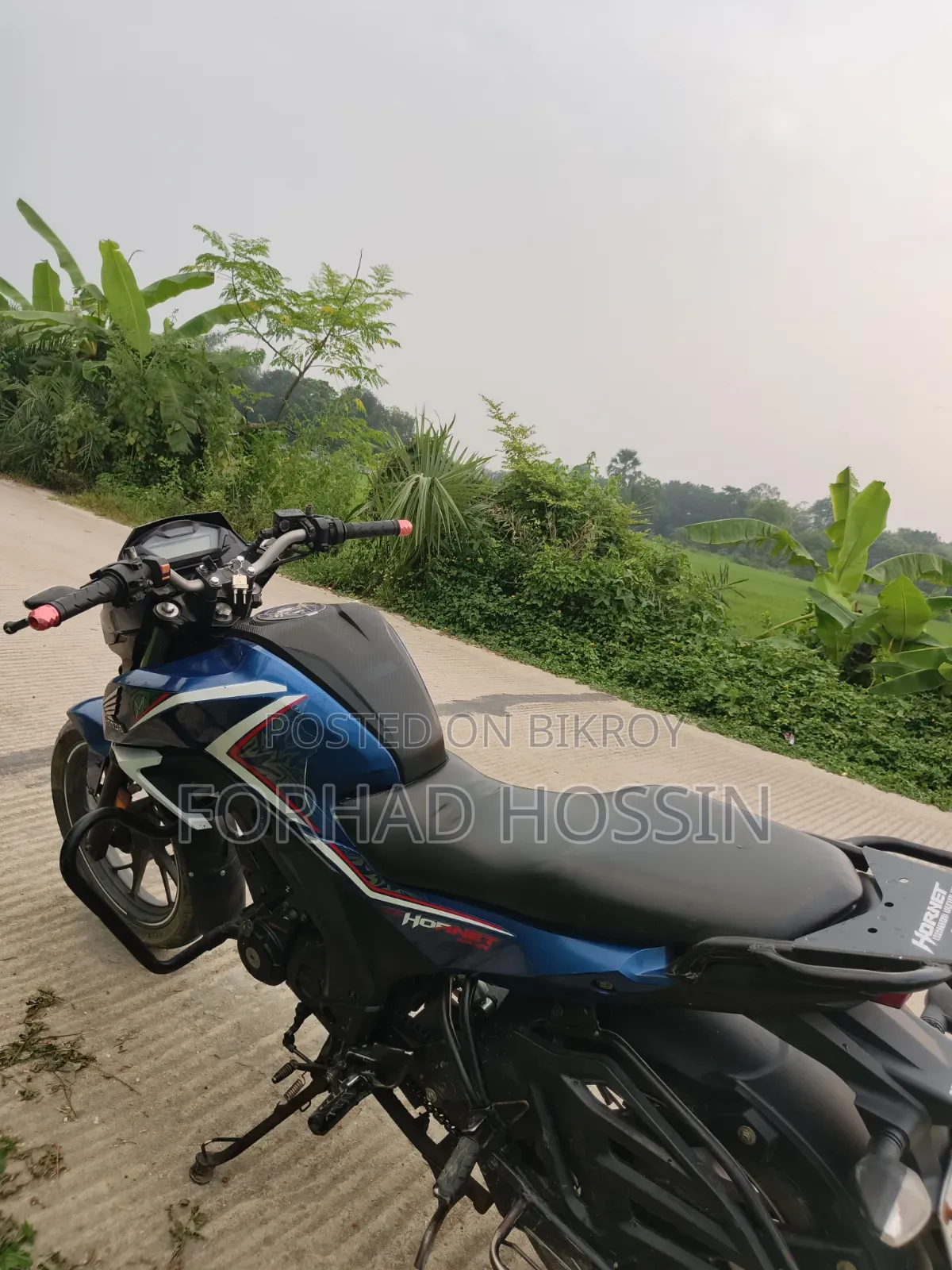 Honda Hornet 2018 Blue