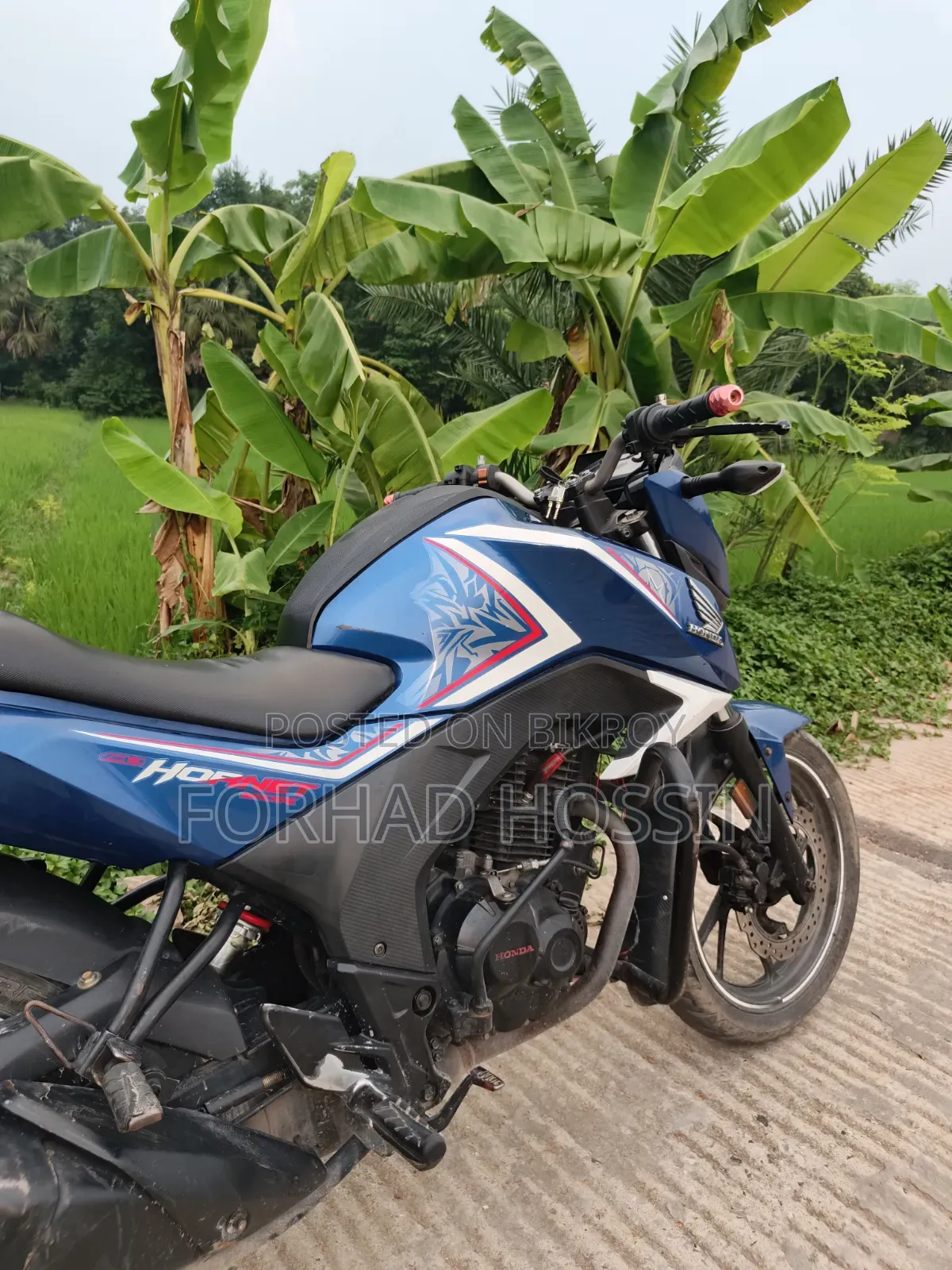 Honda Hornet 2018 Blue