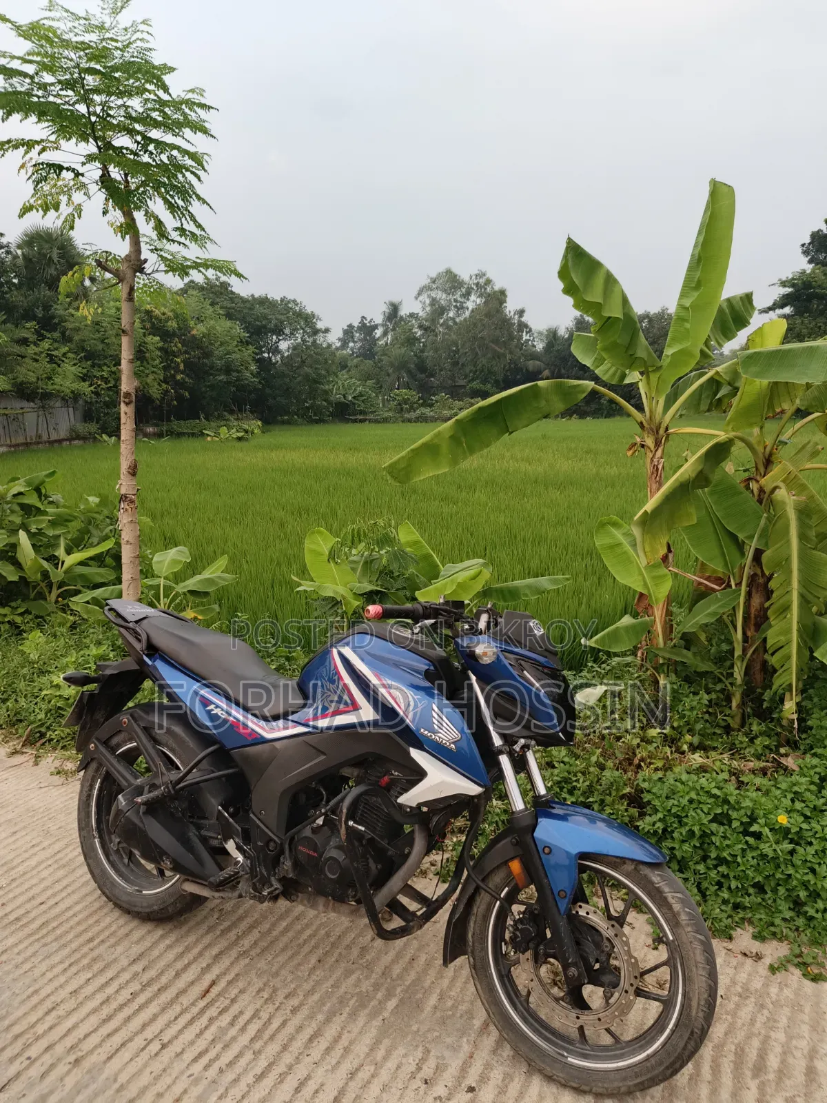 Honda Hornet 2018 Blue