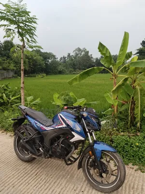 Honda Hornet 2018 Blue