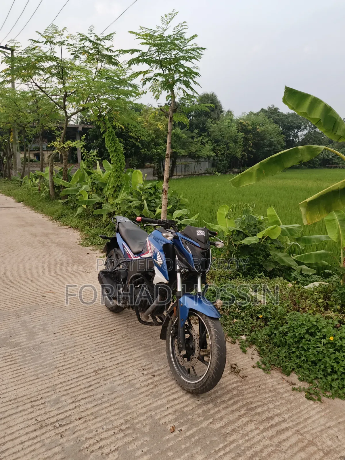 Honda Hornet 2018 Blue