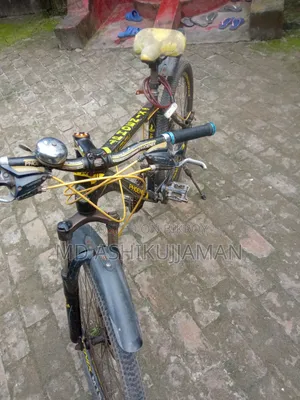 বাই সাইকেল