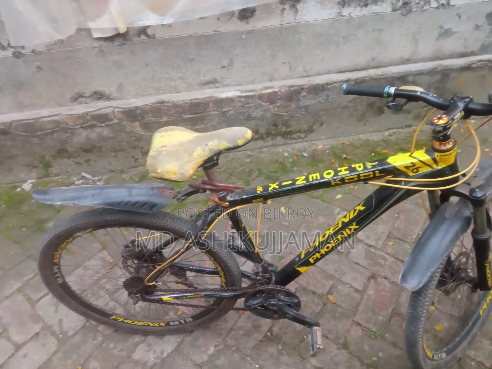 বাই সাইকেল