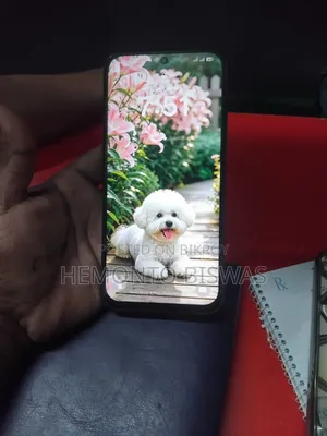 অপ্পো এ৬এক্স ৬৪ জিবি গ্রে