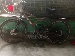 LAUX Bicycle