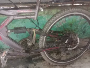 LAUX Bicycle