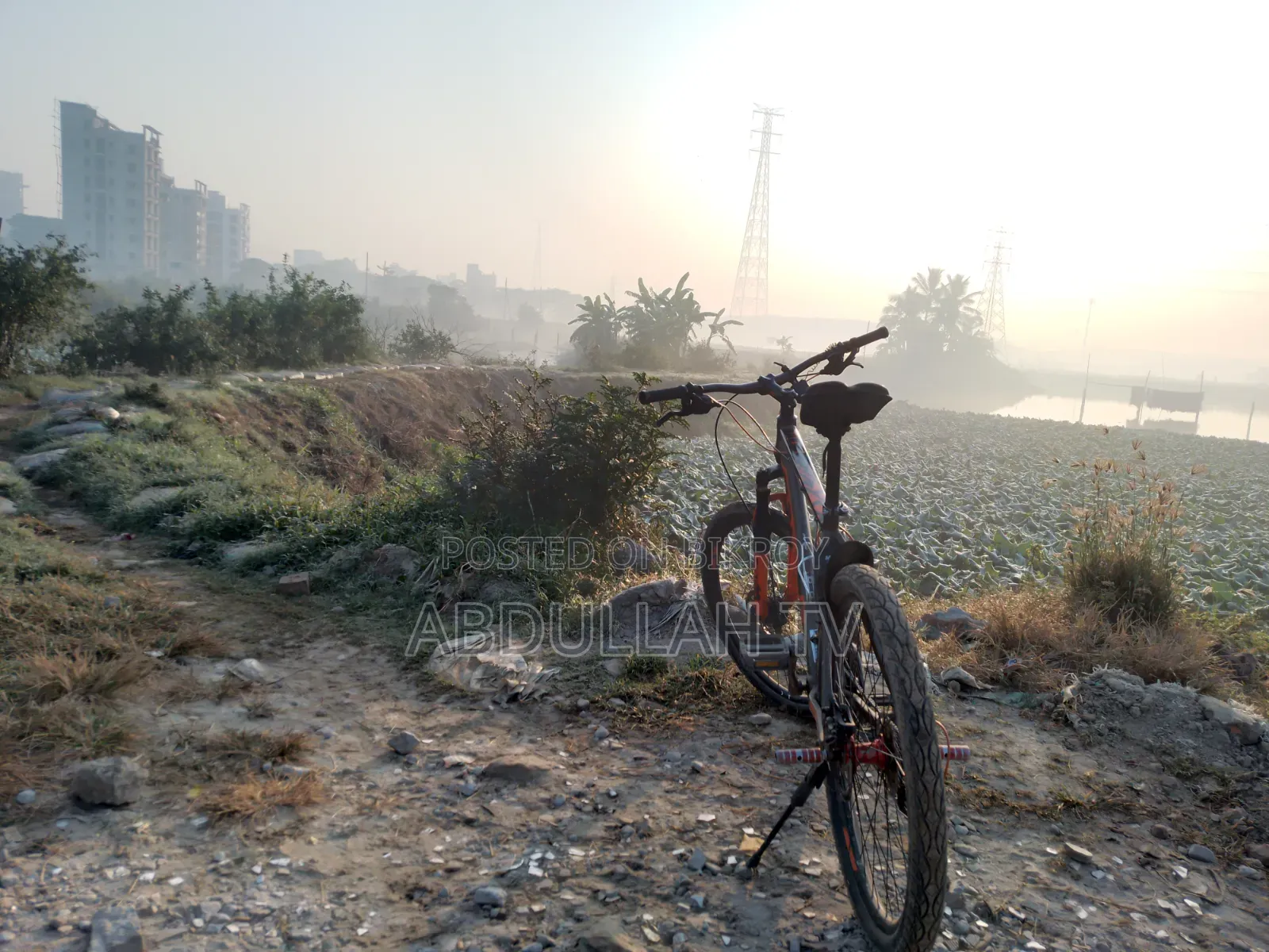 কাস্টমাইজ সাইকেল একদম নতুনের মতো