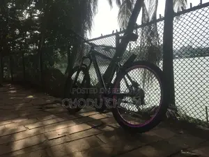 Phoenix Harod 02 Modified