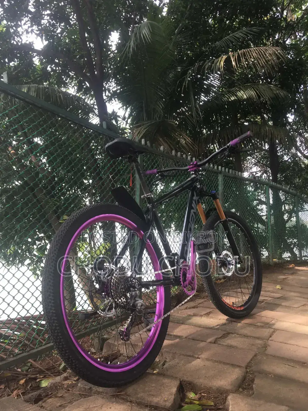 Phoenix Harod 02 Modified
