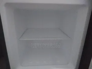 মডেল রেফ্রিজারেটর।