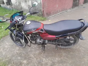 Hero Passion Pro 2010 Red