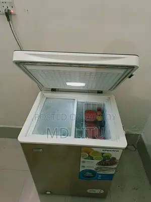 ইলেক্ট্রা ডিপ ফ্রিজার