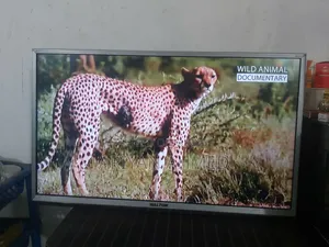 Walton 32 Inch HD TV Full Fresh