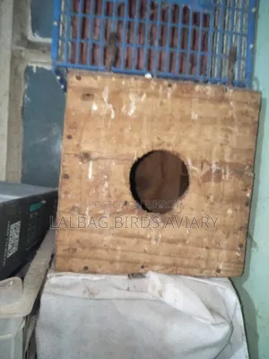 ব্রিডিং বক্স সেল হবে