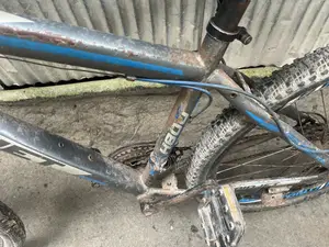 Bicycle All Ok