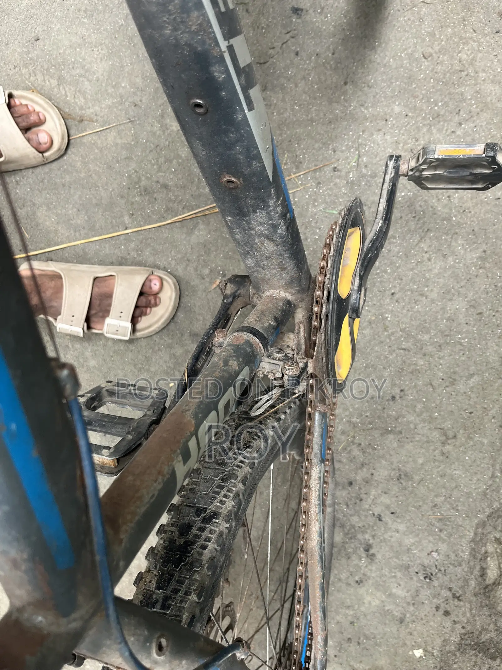 Bicycle All Ok