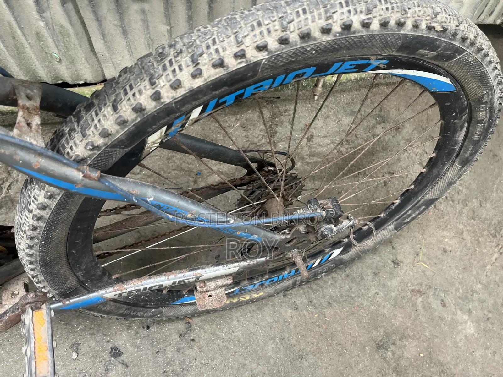 Bicycle All Ok