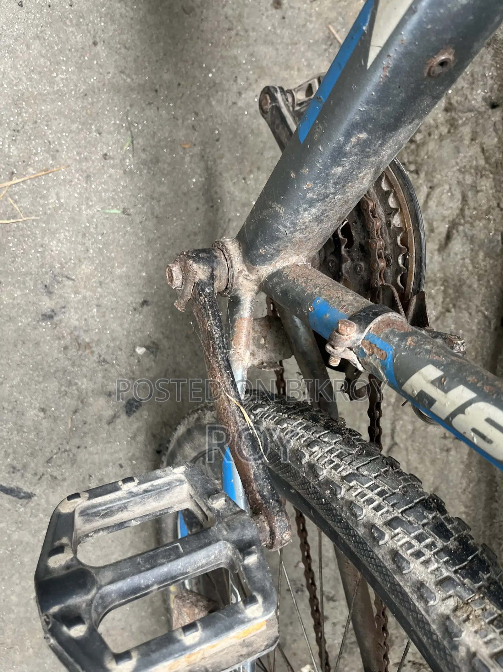 Bicycle All Ok
