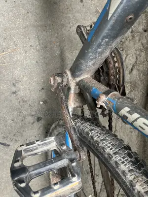 Bicycle All Ok
