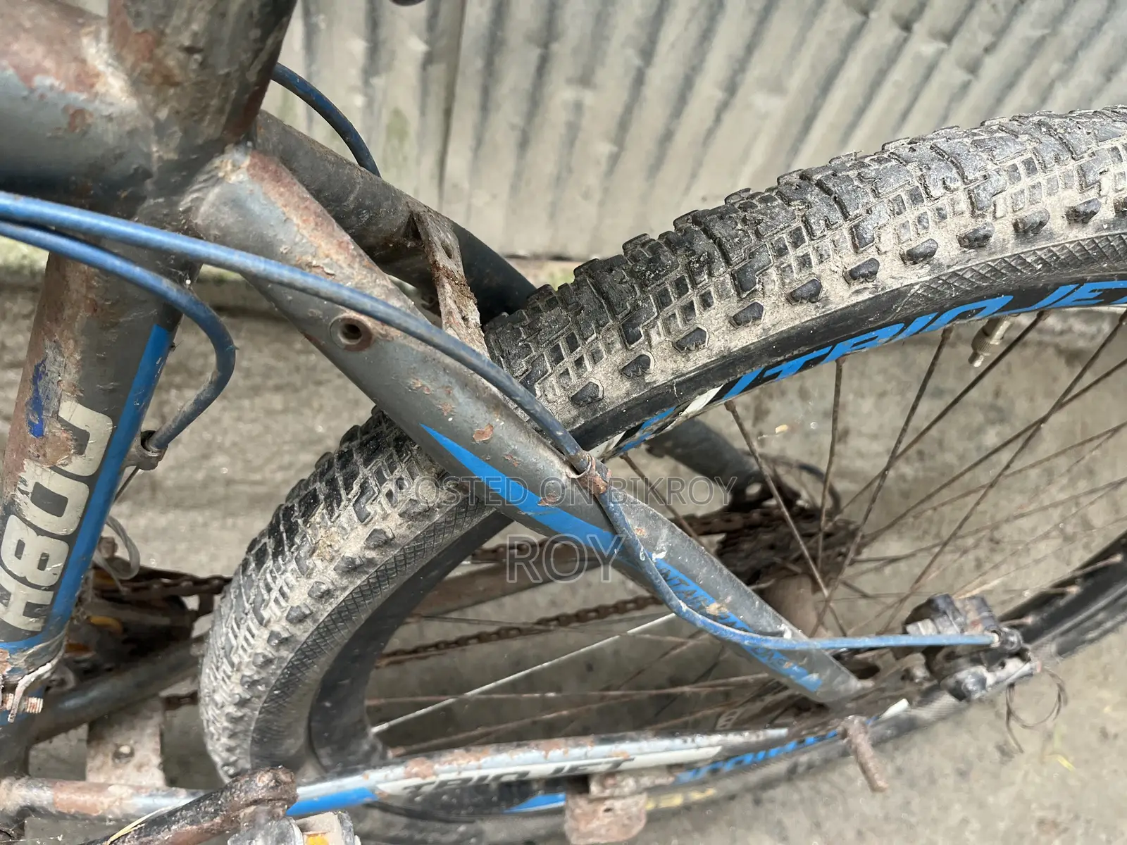 Bicycle All Ok