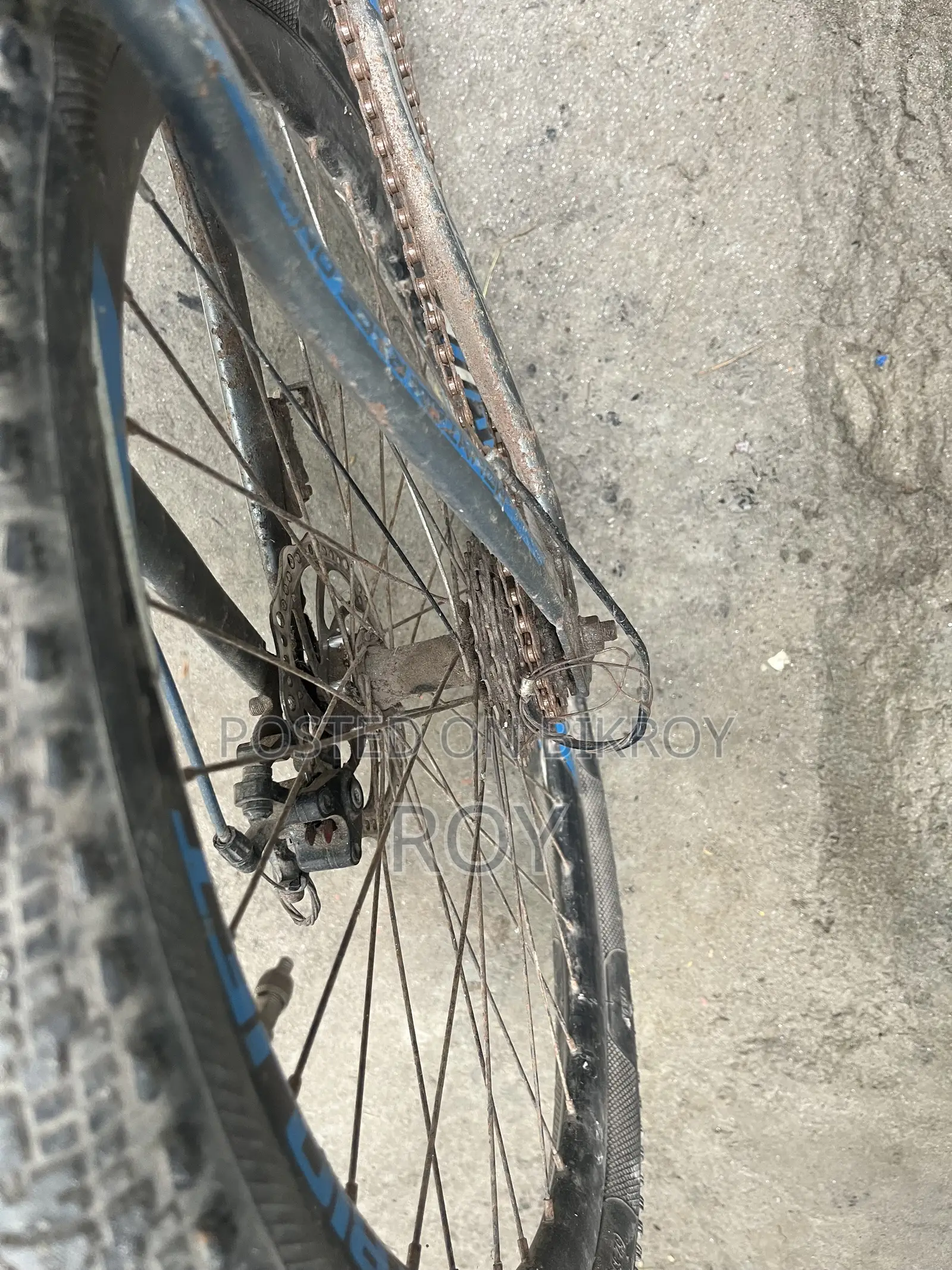Bicycle All Ok