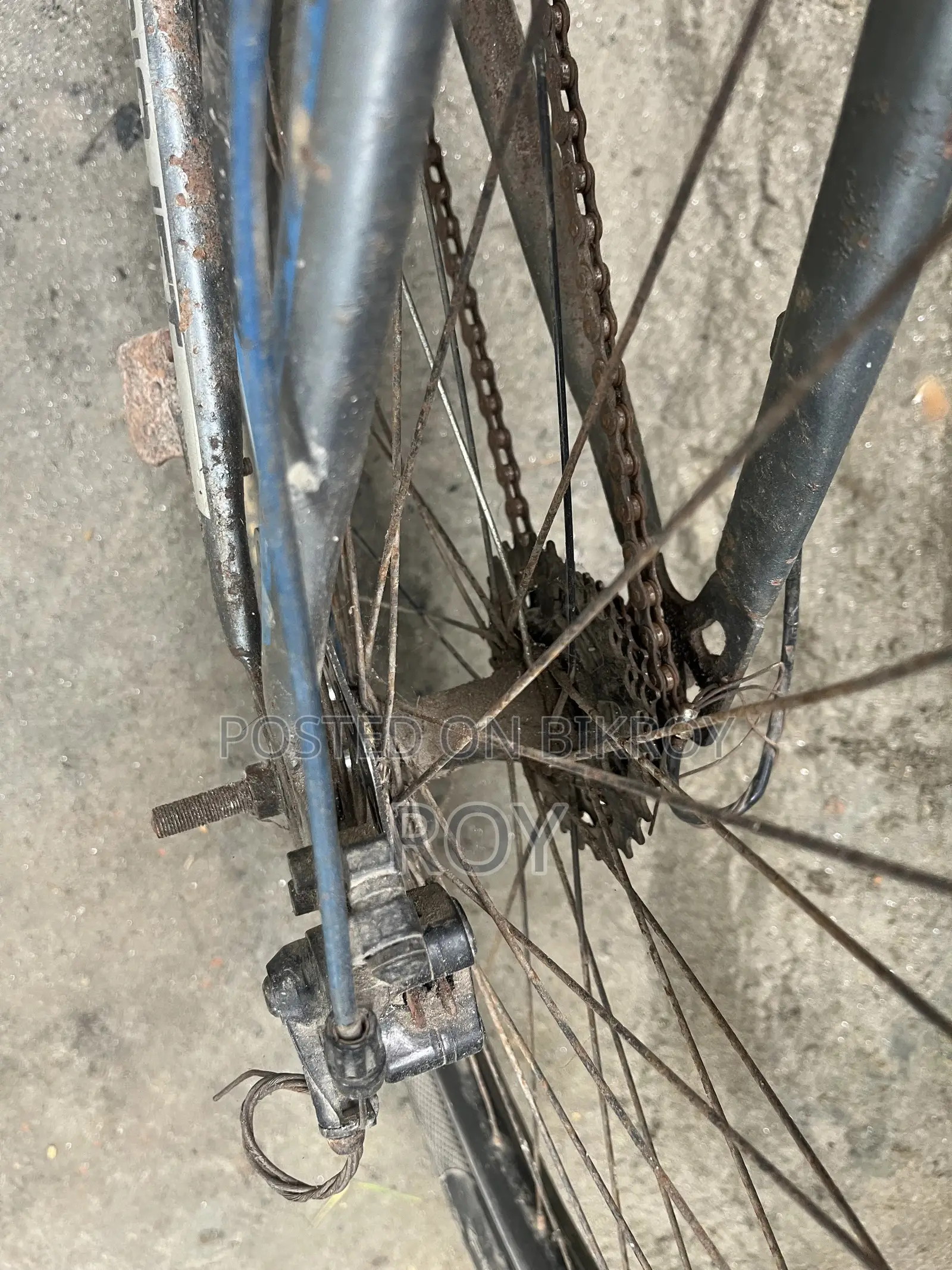Bicycle All Ok