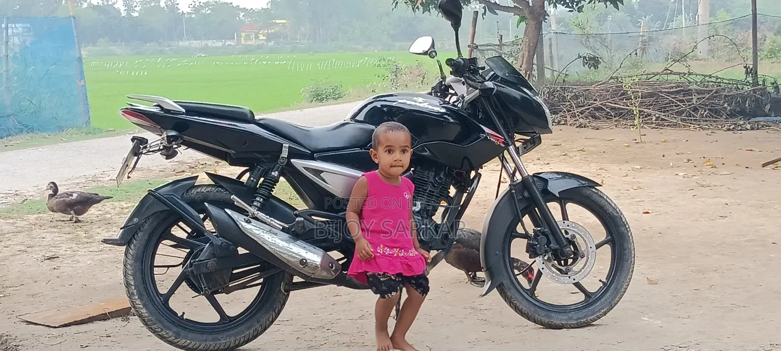 Bajaj Pulsar 135 LS 2018 Black