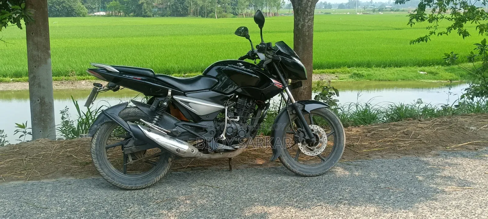 Bajaj Pulsar 135 LS 2018 Black