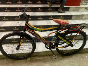 Non-Gear Bicycle
