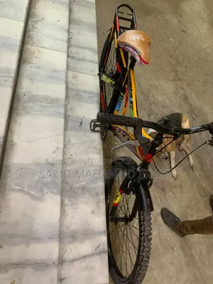 Non-Gear Bicycle