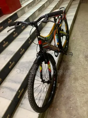 Non-Gear Bicycle